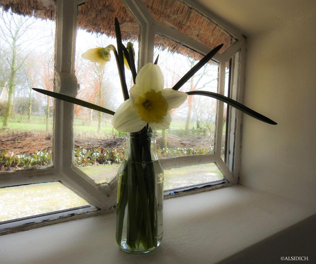 The Wee White Hoose Bed and Breakfast Oosternijkerk Exteriör bild