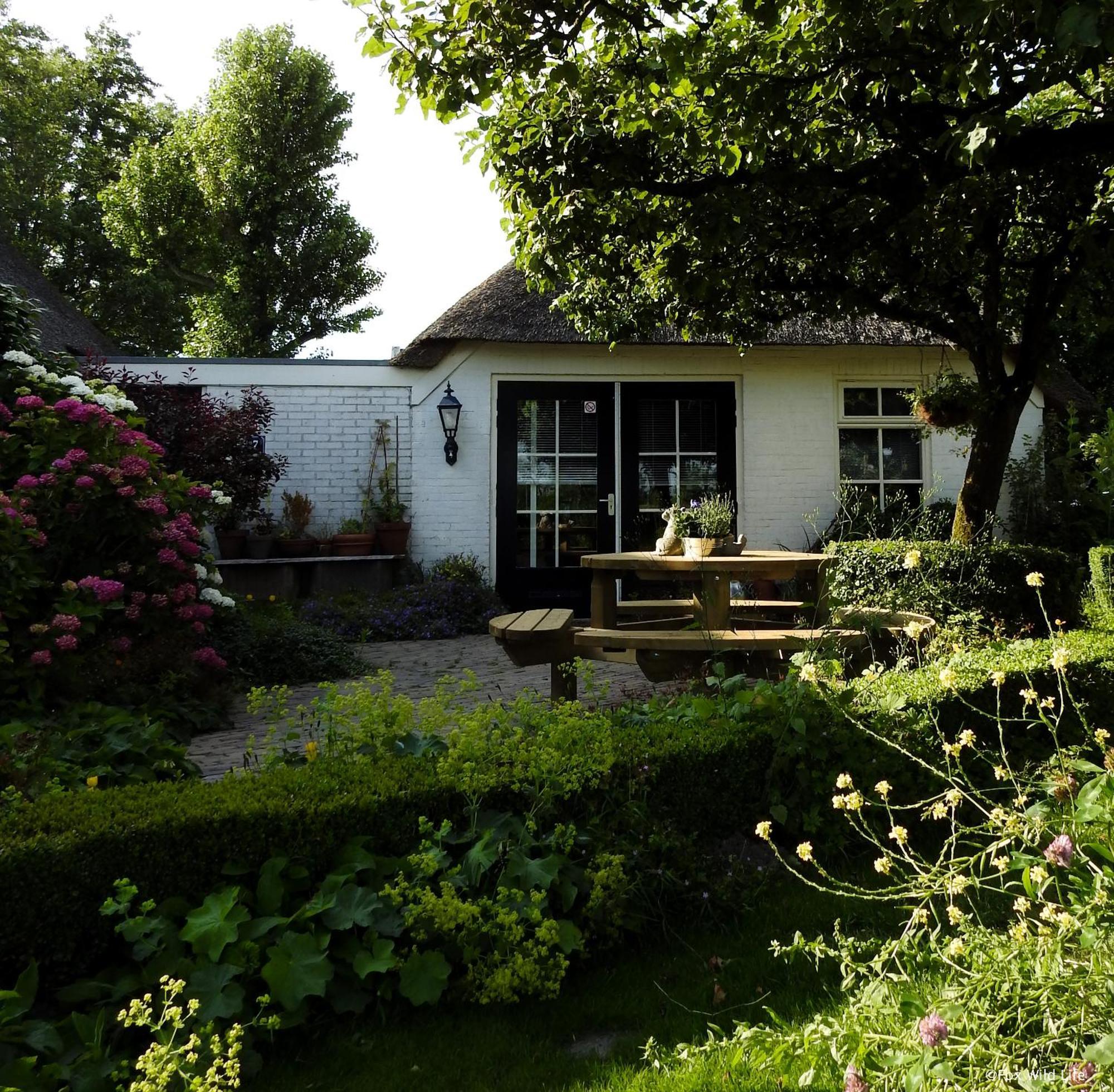 The Wee White Hoose Bed and Breakfast Oosternijkerk Exteriör bild