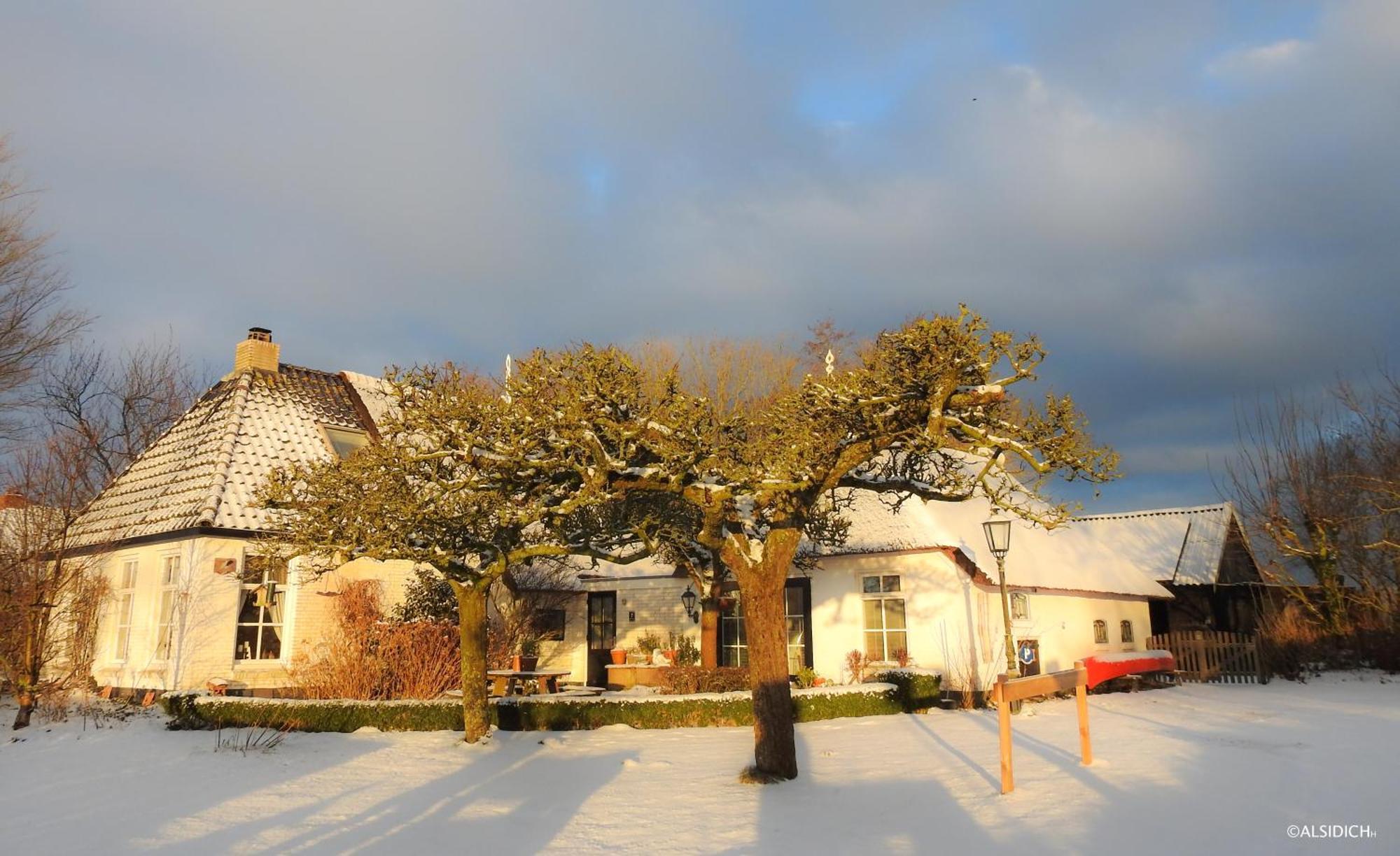 The Wee White Hoose Bed and Breakfast Oosternijkerk Exteriör bild